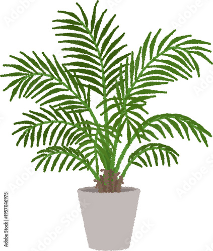 ケンチャヤシのイラスト