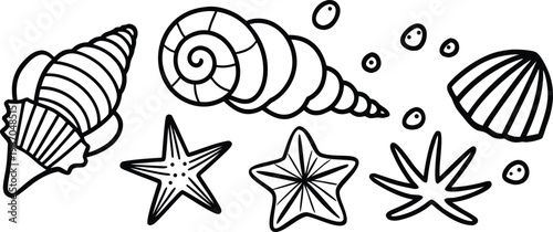 A detailed, monochrome line art illustration showcases a collection of various seashells and starfish. The image presents a variety of sizes, shapes, and textures of marine life, including spiral shel