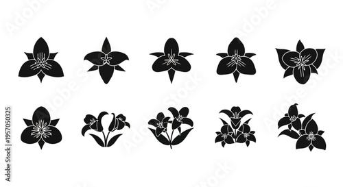 Tableau sur toile Trillium Flower Vector Illustration | Woodland Wildflower Botanical Artwork | El