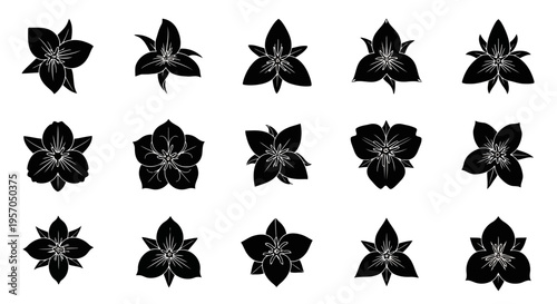 фотографія Trillium Flower Vector Illustration | Woodland Wildflower Botanical Artwork | El