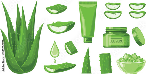 Aloe vera plant and cosmetic products set with gel slices leaves and skincare containers vector illustration collection