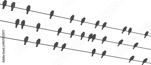 Several small bird silhouettes are seen resting on a few diagonal wires across a clear white sky