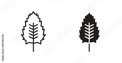 Birch leaf icon for web design. icon symbol vector