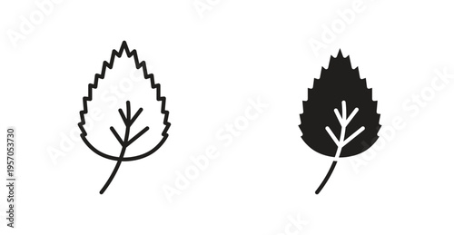 Birch leaf icon for web design. icon symbol vector