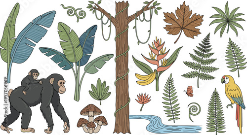 Tropical Jungle Nature Set with Chimpanzee Family, Exotic Parrot, Palm Leaves, Ferns, Mushrooms, Tree with Lianas, and River for Design