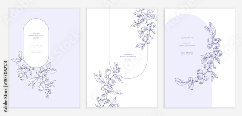 Set of card with blueberry hand drawn berry and brunch. Detailed template layout design, brochure or cover for Valentines day or wedding invitation