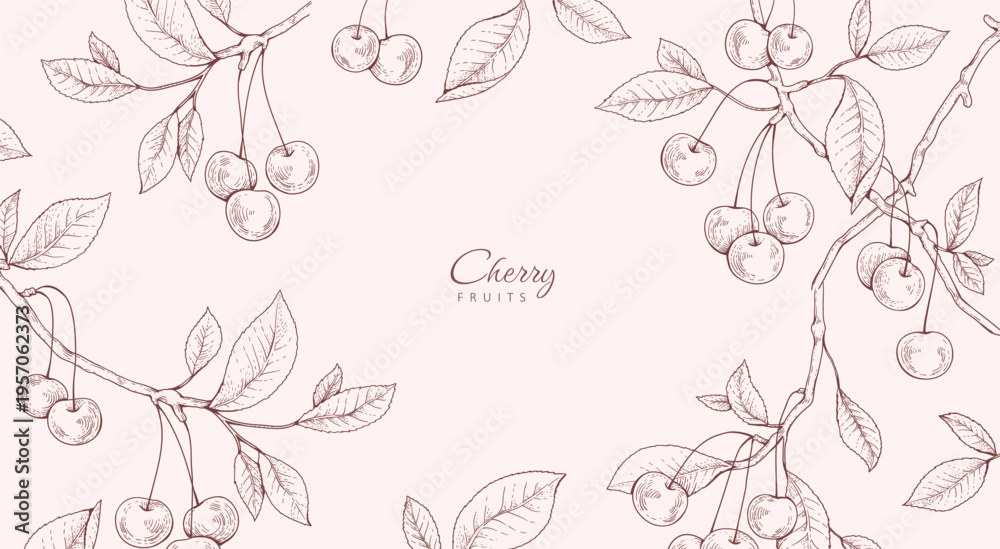 Obraz premium Cherry fruit. Summer background with berry and brunch. Detailed hand drawn ink floral illustration for invitation, wallpaper art or save the date card