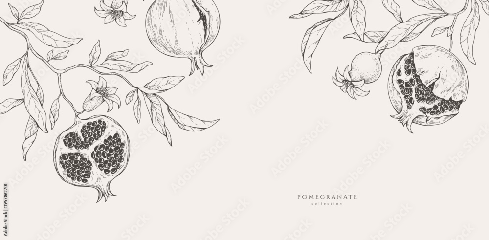 Naklejka premium Background with pomegranate brunch and leaves. Detailed hand drawn ink illustration for template layout design, brochure or cover for food card or menu