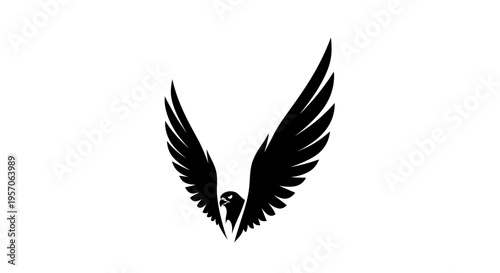 Black silhouette of a bird in flight with outstretched wings on a white background.