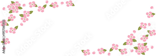 ハナミズキのフレーム