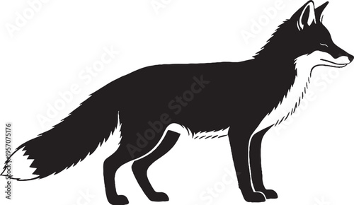 Black and white wolf vector illustration