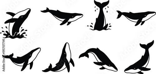 Set of Whale Silhouettes and Humpback Illustrations Featuring Breaching, Swimming, Diving Tails, and Marine Life Icons for Ocean Conservation and Design