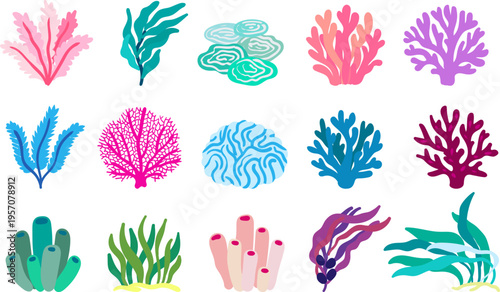 set of hand drawn colorful marine coral and seaweed individual elements isolated on white for nautical stickers and sea icons