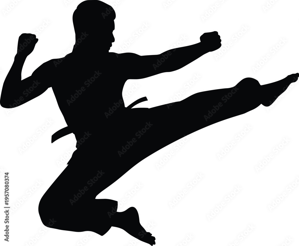 Obraz premium Black Silhouette of a Professional Martial Artist Performing a Powerful Mid-Air Flying Side Kick Isolated on White Background for Karate Taekwondo Sports Graphics