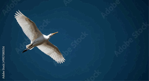 Soaring Egret in Flight: A pristine egret gracefully glides through the expanse of the azure sky, its wings spread wide in a captivating display of freedom and serenity.