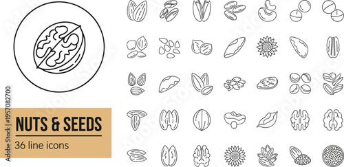 Large set of 36 nuts and seeds line icons featuring walnuts almonds pistachios sunflower seeds hazelnuts and cashews isolated on a white background for healthy food design.