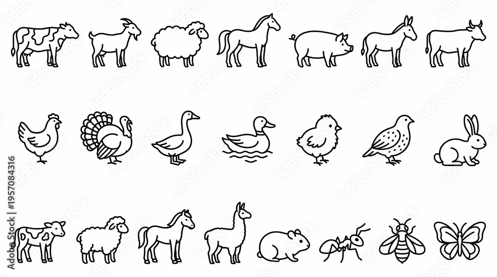 Fototapeta premium Diverse Farm Animals: A comprehensive collection of meticulously illustrated farm animals, showcasing the beauty and diversity of creatures that roam the fields and pastures.