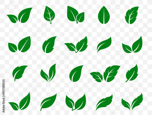Green leaves set, eco icons plants, herbs and branches