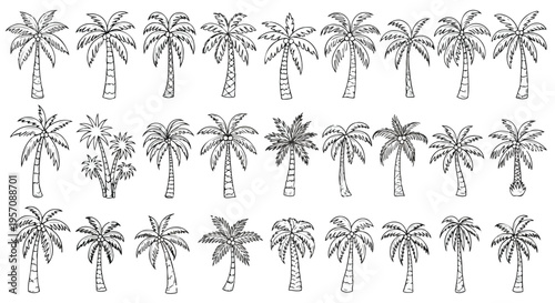 A collection of various palm tree illustrations in different styles and poses on a plain white background.