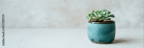 Indoor Plant in Ceramic Pot With Matte Texture on a Clean Surface With a Gradient Background and Soft Lighting