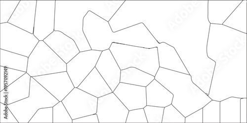 Abstract black & white metal grid isolated on the white background. Abstract geometric pattern with crossing thin straight lines. Geometric network of irregular polygons with clean, minimalistic lines