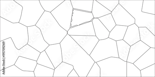 Abstract black & white metal grid isolated on the white background. Abstract geometric pattern with crossing thin straight lines. Geometric network of irregular polygons with clean, minimalistic lines
