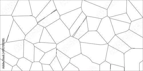 Abstract black & white metal grid isolated on the white background. Abstract geometric pattern with crossing thin straight lines. Geometric network of irregular polygons with clean, minimalistic lines