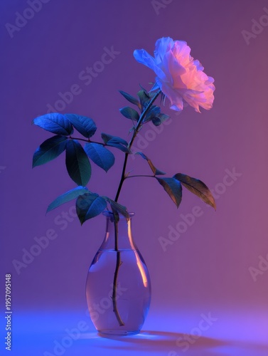 Minimal Floral Setup Featuring Single Flower in a Clean Design With Gradient Lighting on Display in a Controlled Space