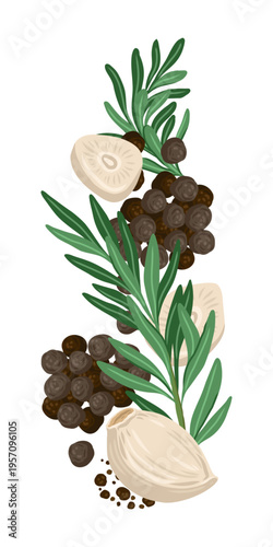 Rosemary leaf and garlic clove vertical composition vector food illustration. Hand drawn arrangement with black peppercorn. Fresh organic ingredient for menu design. Perfect for culinary packaging.