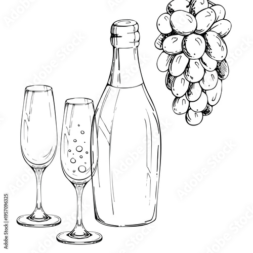 Champagne bottle, flute sparkling glasses and hanging grape fruit bunch. Isolated vector illustration hand drawn in ink. Bar drink menus, packaging, lifestyle branding, wine lists and pairing guides