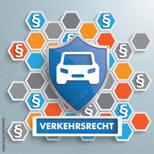 Verkehrsrecht Cover Schutzschild