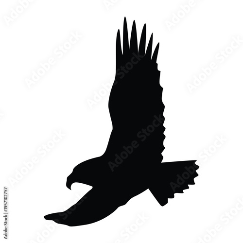 Dynamic silhouette of a majestic eagle in powerful flight, embodying strength, freedom, and an iconic nature concept