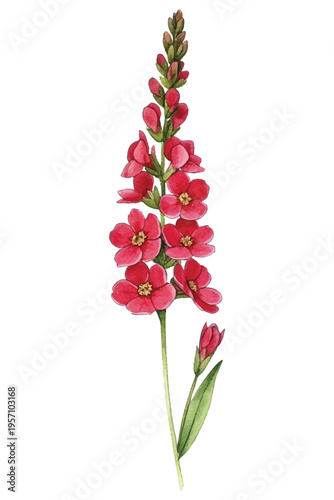 Adobe Illustrator Artwork