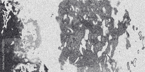 Abstract monochrome texture with irregular organic shapes and granular noise creating a mottled and textured surface for abstract backgrounds and design elements