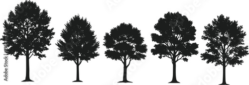 Collection of detailed black deciduous tree silhouettes with leafy branches isolated on white background for landscape design, architectural visualization, and nature themed projects.