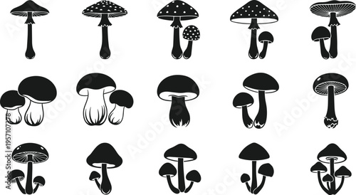 Collection of mushroom silhouettes and fungi icons featuring various species like agaric and porcini for nature designs, botanical illustrations, and forest themed vector art