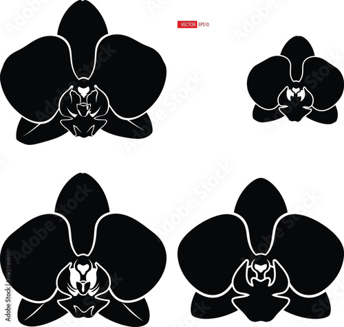 Black orchid flower silhouettes on white background