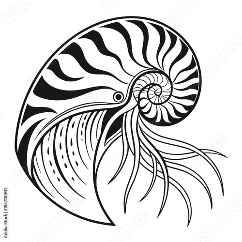 Vector illustration of a nautilus shell with tentacles