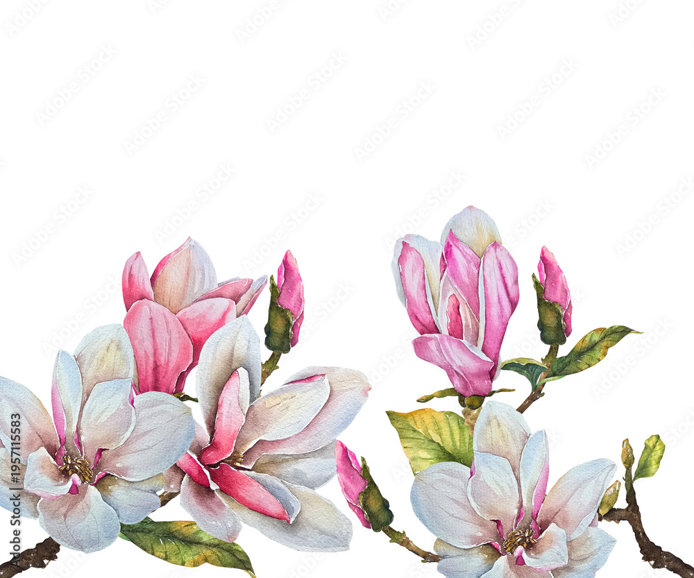 Obraz premium Magnolia flower frame with pink and white blossoms, buds and leaves, painted in delicate watercolor style. Illustration for invitations, cards, posters, stationery, spring design.