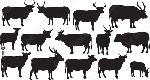 Collection of various black cow silhouettes on white background