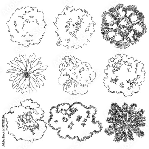 premium set of artistic, hand-drawn vegetation symbols in plan view, blending technical accuracy with organic line art for high-end landscape and architectural site visualizations.