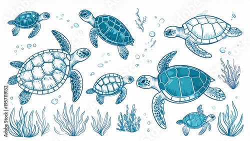 Minimal forest landscape with turtle near flowing water, tall trees and grass, peaceful nature line art vector illustration design