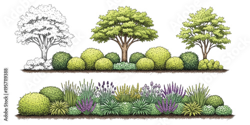 Hand drawn botanical landscape elements with trees and shrubs set