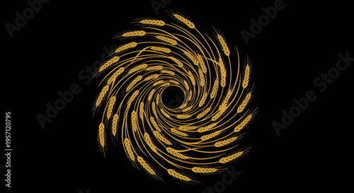flat vector Golden Wheat Swirl isolated on White Background vector background, vector illustration