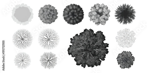 Fotografía Top view of different trees and bushes for architectural landscape design
