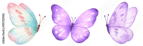 Watercolor pastel butterflies clipart set, purple blue butterfly illustration, soft watercolor sticker style, nursery decor, wedding design elements, printable png