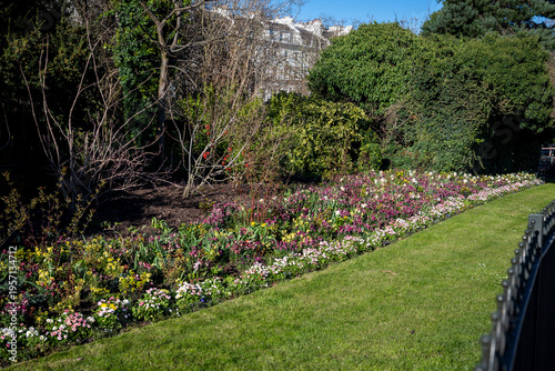 Flowerbed with spring flowers in Hyde Park, a famous, historic Grade I-listed urban park in Westminster, London, England, UK