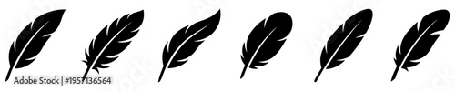 Large set of black silhouettes of feathers in various shapes, isolated on a white background. Vector illustration.