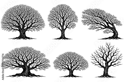Bare Tree Sketch Collection – High Detail Nature Line Drawing Set