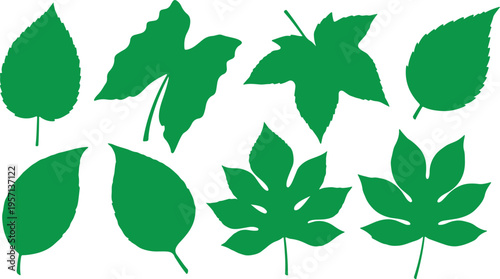Botanical Leaf Vector Set High Detail Natural Leaves Clean Design